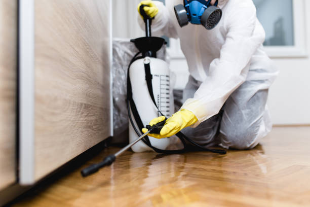 Pest Prevention Services in Kiln, MS