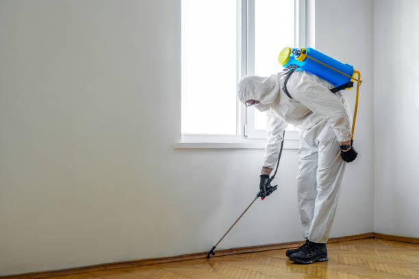 Pest Control for Restaurants in Kiln, MS