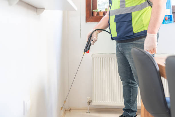 Best Pest Removal Services  in Kiln, MS