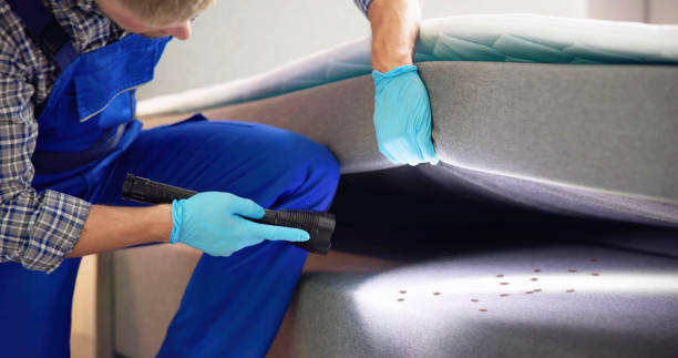 Best Affordable Pest Control Services  in Kiln, MS